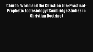 Church World and the Christian Life: Practical-Prophetic Ecclesiology (Cambridge Studies in