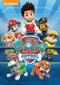 Paw Patrol Academy Game - Paw Patrol Cartoon Nick JR English - Paw Patrol full Episodes