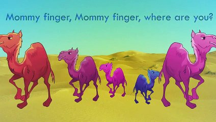 Popular Videos - Animals & Toys