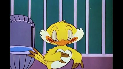 Mickey Mouse Cartoon Disneys Classic Family Favourites