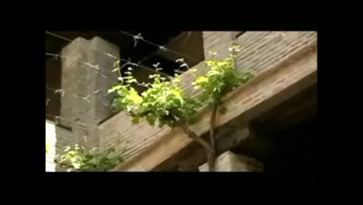 لسان الدين ابن الخطيب_جادك الغيث