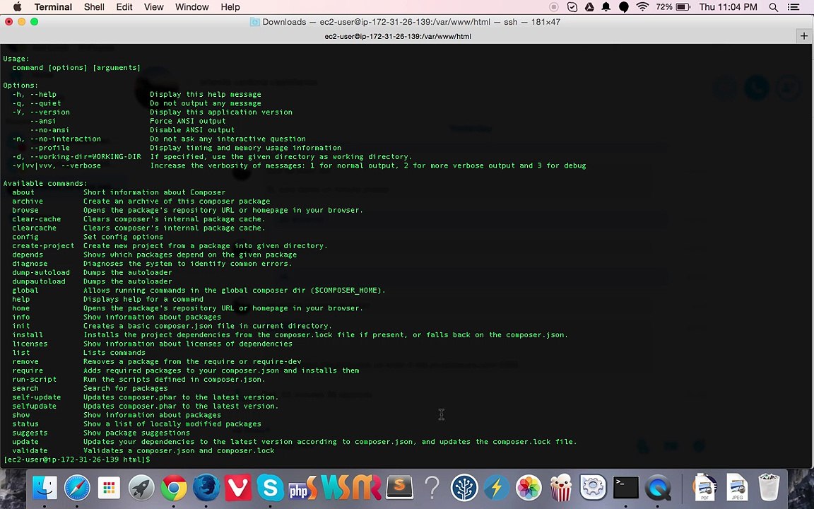 8-setup-composer-global