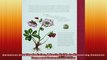 Botanical Drawing in Color A Basic Guide to Mastering Realistic Form and Naturalistic
