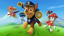 Paw Patrol Episodes Eggs Cartoon Full Games, Paw Patrol Cakes Christmas Song Movies HD 2015