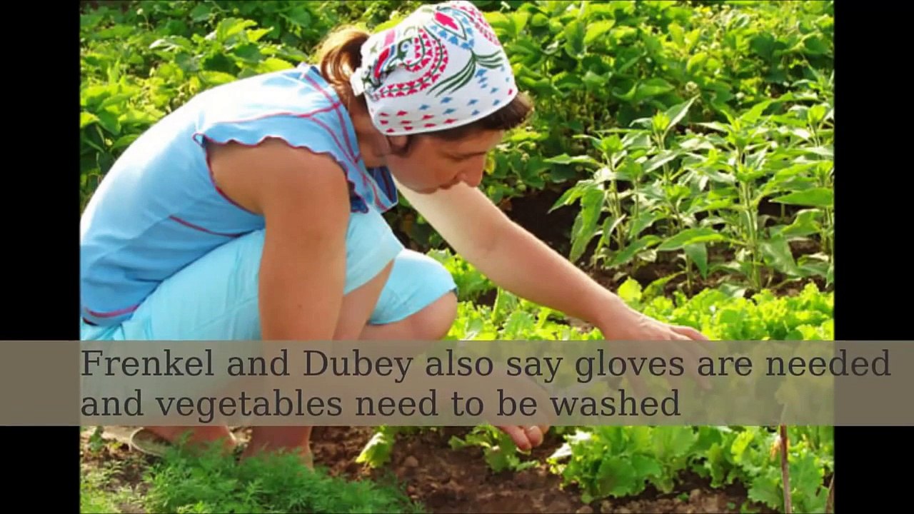 Toxoplasmosis: Should you worry?