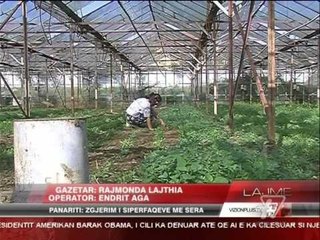 News Edition in Albanian Language - 25 Janar 2015 - 15:00 - News, Lajme - Vizion Plus