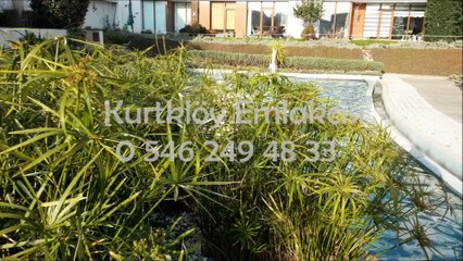 İstanbul Pendik Kurtköy Dumankaya Konsept Eşyalı Kiralık 2+1 Daire