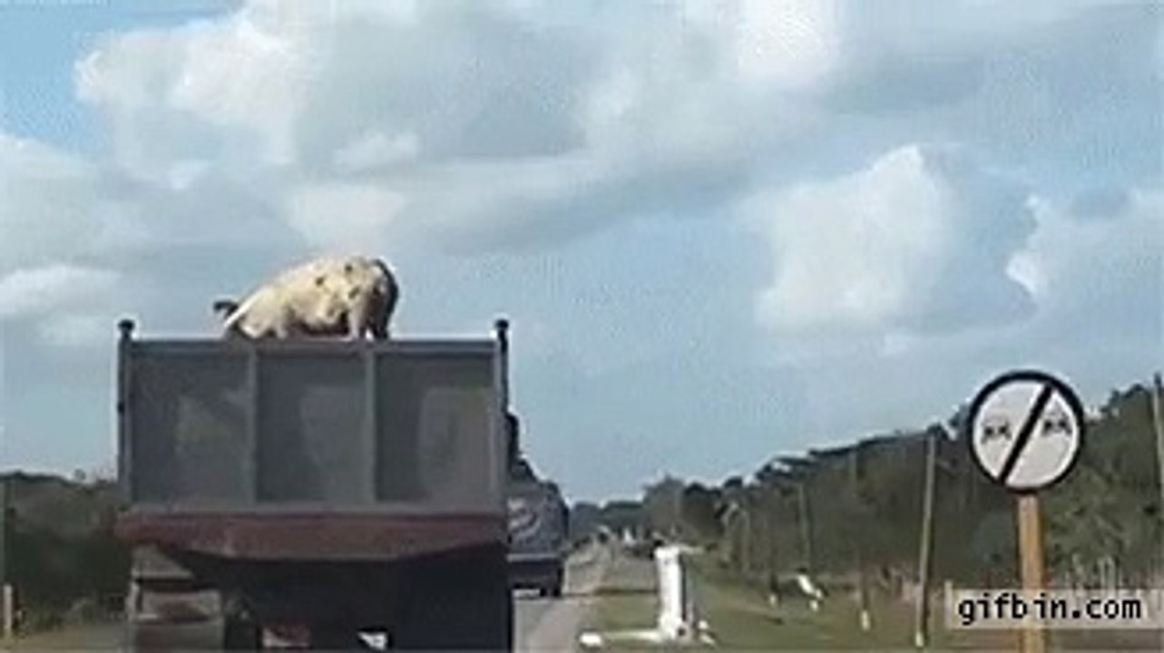 정선바카라주소ュ 「〃ZVZV9.COM〃」VEGASBET