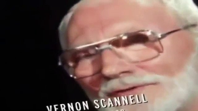 World War II: Allied & Axis Weapons (5 / 10): Fighter Bombers