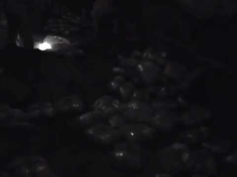 POLICIA E VLORES OPERACION ANTIDROGE NE NOVOSELE, SEKUESTROHEN 150 KG KANABIS SATIVA LAJM