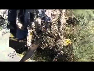 Aksidentohet piloti, dyshohet se transportonte drogë me helikopter - News, Lajme - Vizion Plus