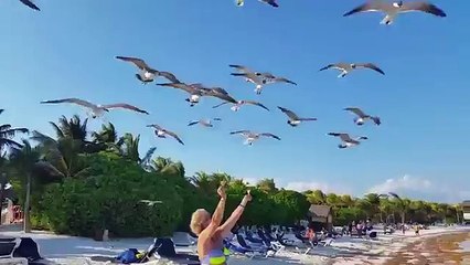 Bird Poops On Sleeping Man