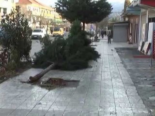 STUHITE GODASIN SHQIPERINE,THYHEN PEME,DEMTOHEN BANESA,FRYHEN LUMENJTE LAJM