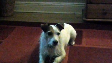 Merlin sings coronation Street theme.