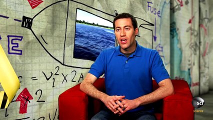 Hair-Raising Hippo Hopping