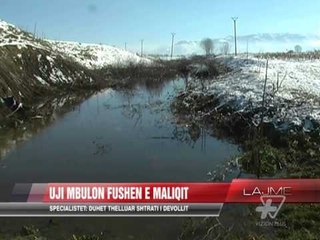 Uji mbulon fushën e Maliqit - News, Lajme - Vizion Plus