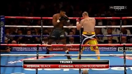 Anthony Joshua vs Gary Cornish Full Fight 12.09.2015