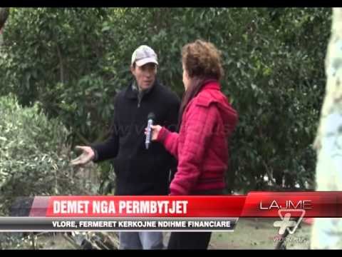 Vlorë, fermerët kërkojnë ndihmë financiare - News, Lajme - Vizion Plus