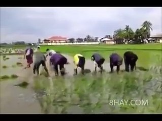 New Funny Clip 2016 Funny People