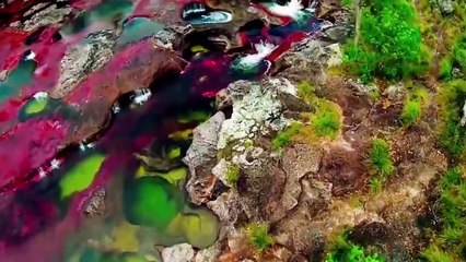 This rare, breathtaking rainbow river is the only one of its kind on Earth!