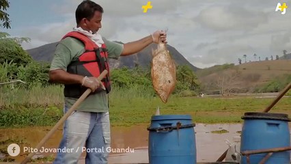 Rio Doce, le fleuve brésilien complètement contaminé par la boue toxique