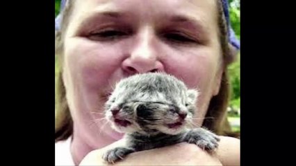 cat of this woman has two heads