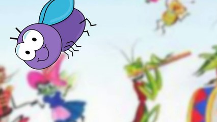 fly Finger Family Nursery Rhymes For Children