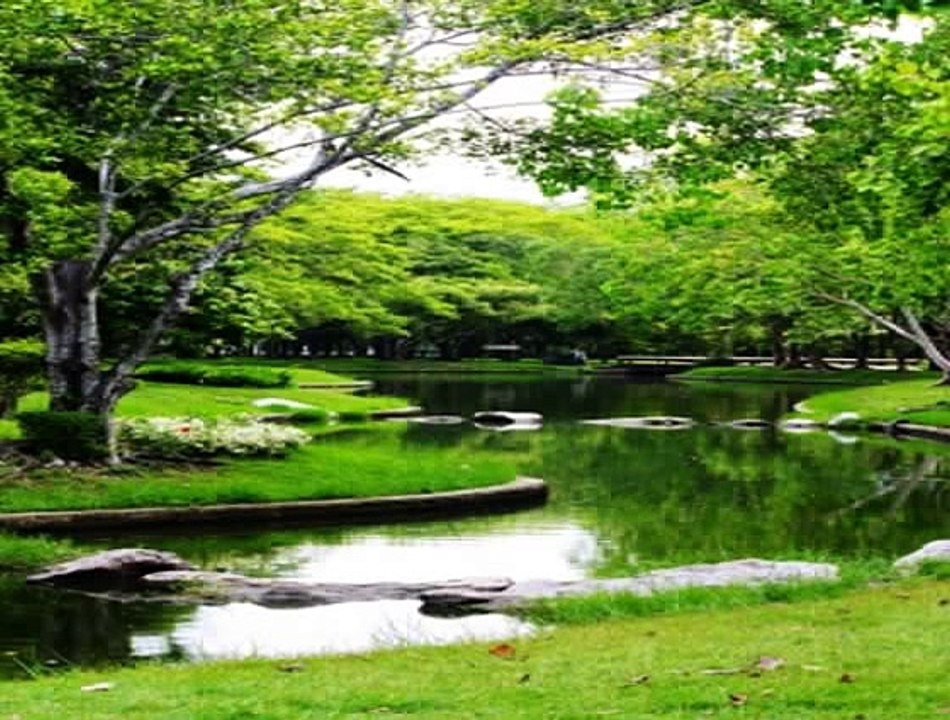 Part 8. Israelites Edomites And The Gentiles