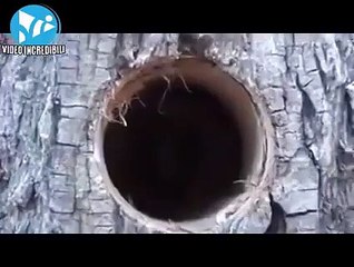 How to make wood stove