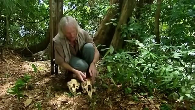 Amazing discoveries of unknown animal species Full Documentary & life discovery HD 2015 72