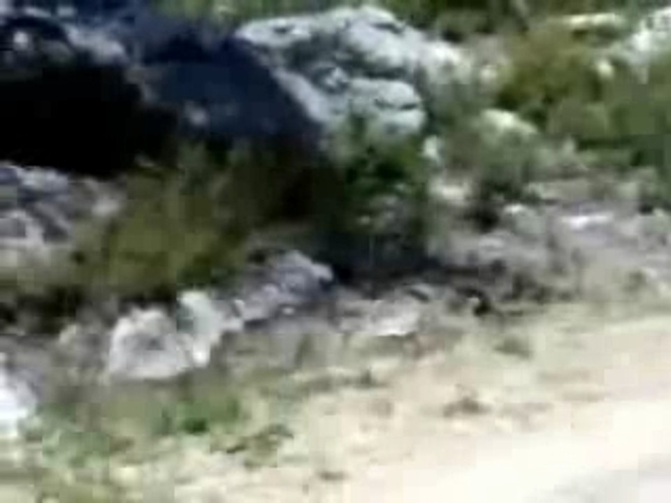 Petit tour en quad et moto