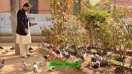 Qawali  Karan Khan  Pashto New Qawali 2016 Pashto HD