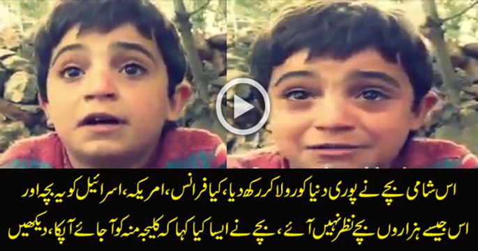 Syrian Bachy ny Rula dia