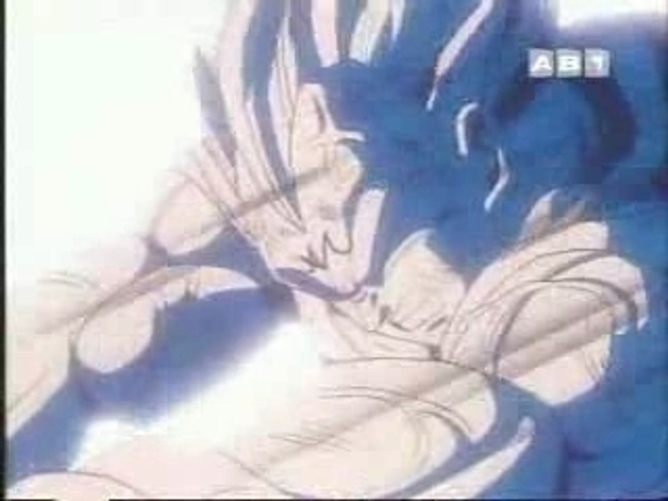 Gokuvsmajin