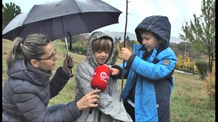 Festimet për Pavarësinë. Mungojnë aktivitetet, qytetarët të pakënaqur