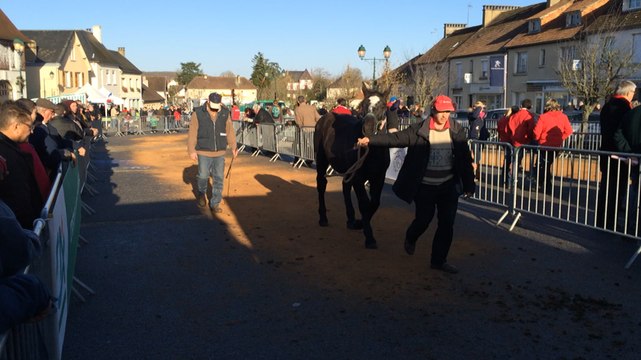 La foire aux poulains