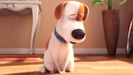 THE SECRET LIFE OF PETS TV Spot