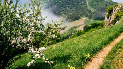 Горы Крыма