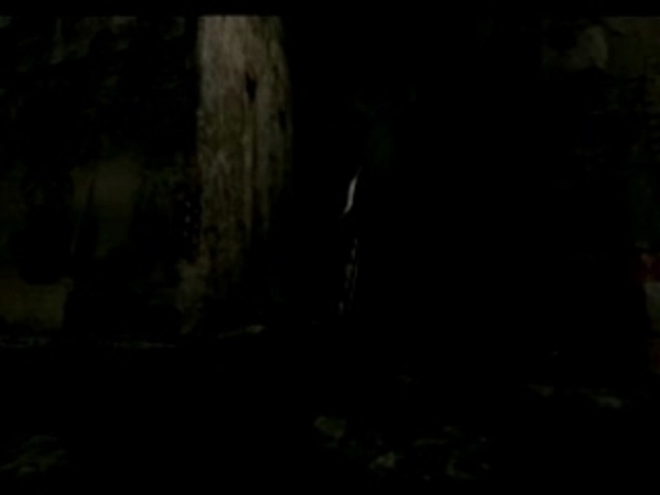Small_desolation
