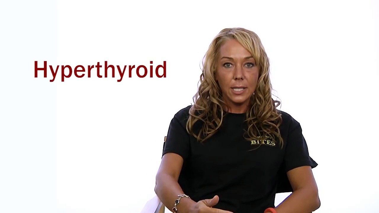 Pet X Talks - Dr. Karen Becker - Pillars of Pet Health - A Balanced Resilient Immune Syste