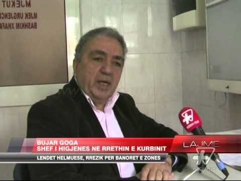 Ndotje nga ish-uzina e superfosfatit në Laç - News, Lajme - Vizion Plus