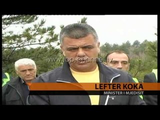 Lufta ndaj procesionares - Top Channel Albania - News - Lajme