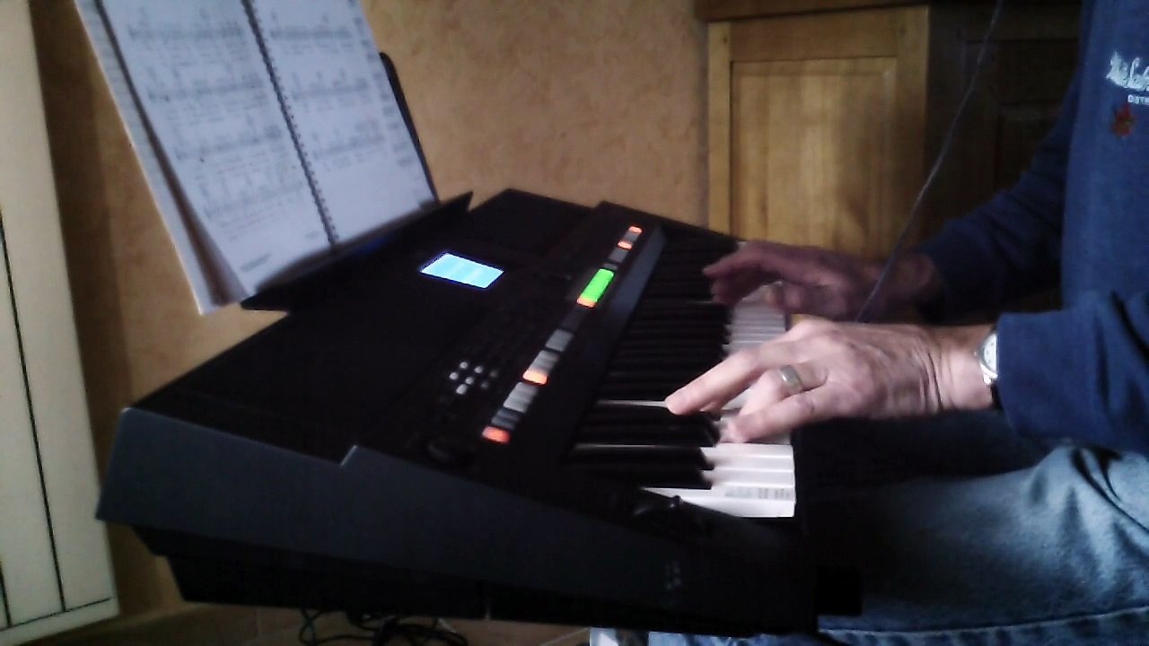 My way   ( comme d' habitude )   Cover
