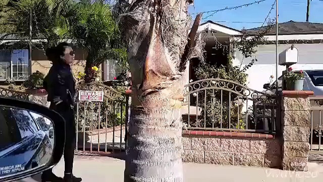 Đã Sợ Chó Mà Thích Chọc Cho Nó Sủa Đề Có Người Mở Của
