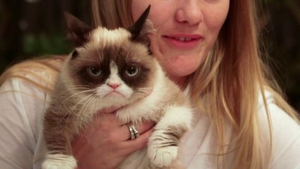 The Cat Meme Team - That Was Me (Bonus Clip)