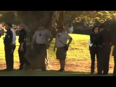 RREZOHET ME AVION PLAGOSET POR ESHTE JASHTE RREZIKUT PER JETEN HARRISON FORD LAJM