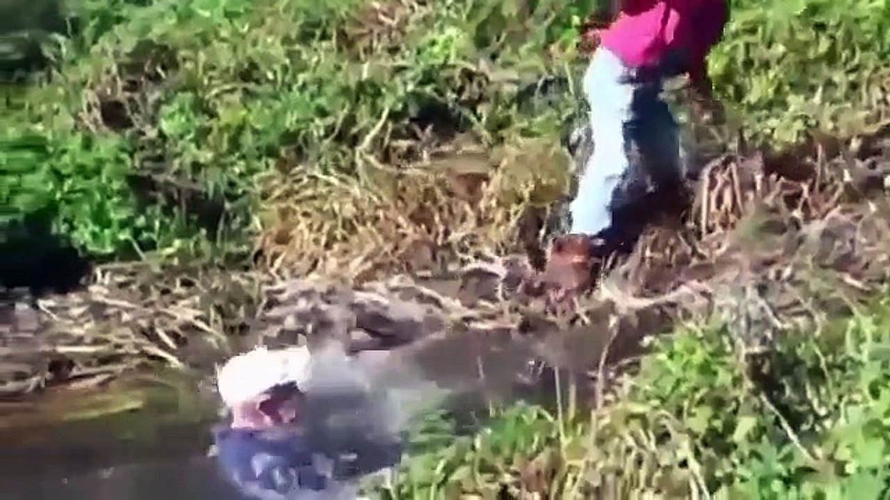 Une sélection de blagues, des échecs et les reculs! vidéos drôles