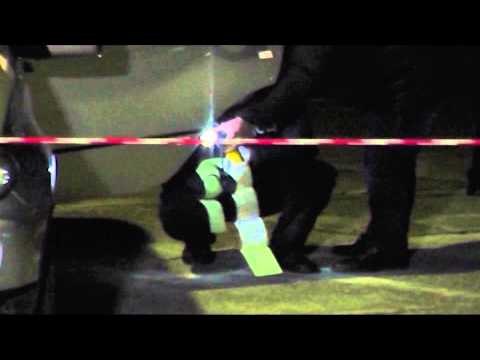 VETEDOREZOHET VRASESI I ELSA TUSHES