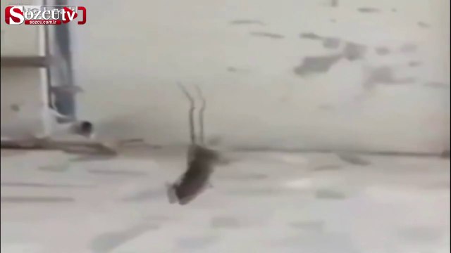 nternette tıklanma rekorları kırıyor