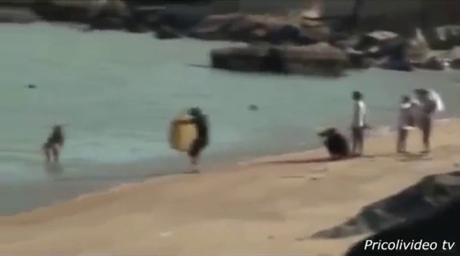 Diversão com MENINAS COMPILATION MENINA ENGRAÇADA №1